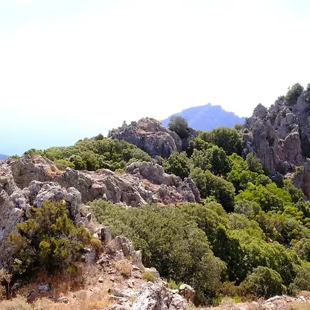 Bed & Breakfast B&B Cardedu