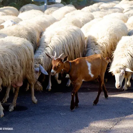 B&B Cardedu Bed & Breakfast