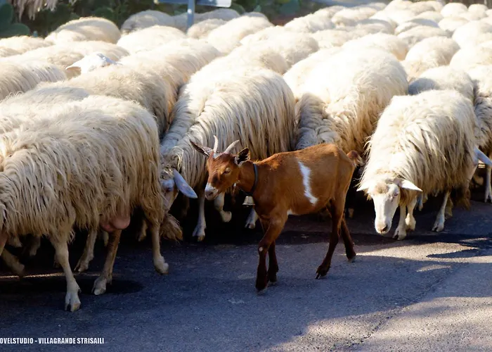 B&B Cardedu Bed & Breakfast